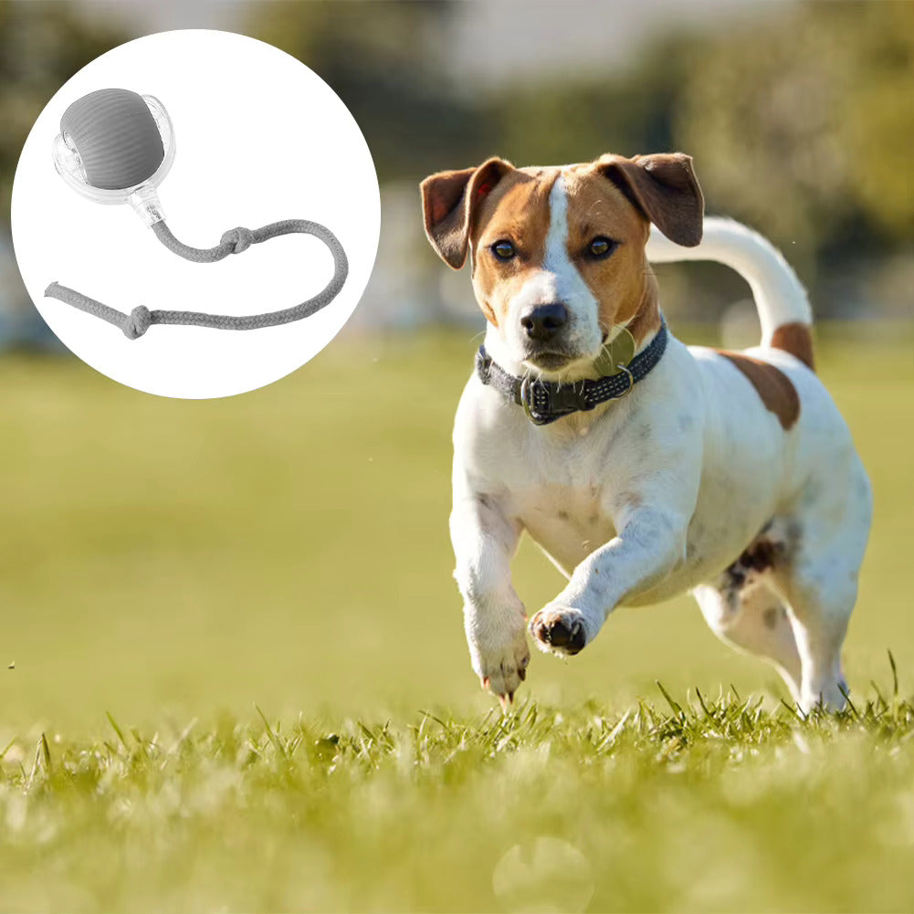 Self-Rolling Dog Ball - Interactive Safe  Dog toy for all Breeds and Sizes